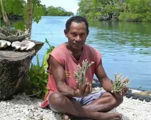 Ein Umweltaktivist aus Papua-Neuguinea hält Korallen zur Renaturierung in die Kamera