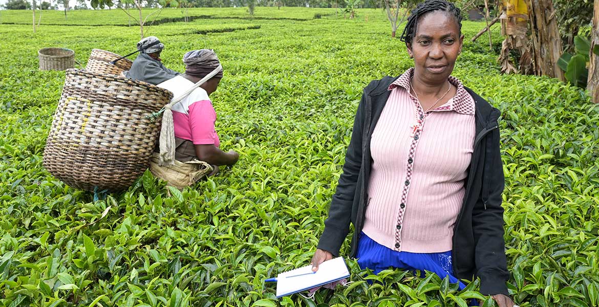 Domitila Mwelu Kaluki auf einer Teeplantage in Kenia