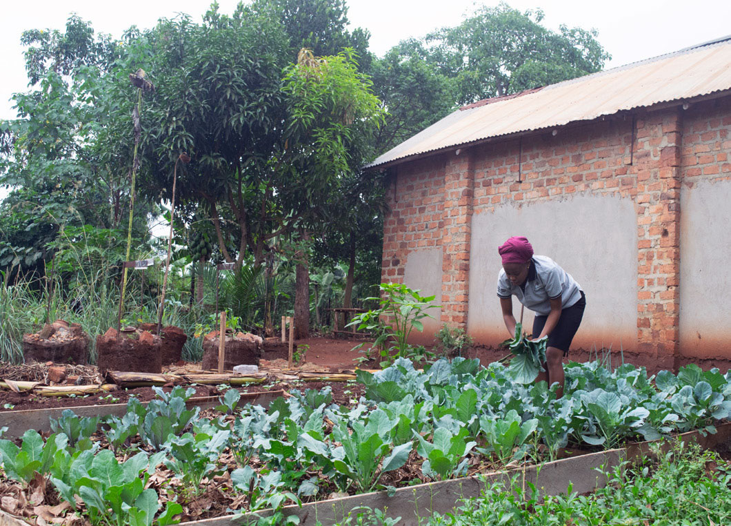 Eine Frau arbeitet auf einem Feld in Uganda