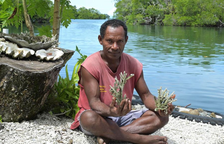 Ein Umweltaktivist aus Papua-Neuguinea hält Korallen zur Renaturierung in die Kamera