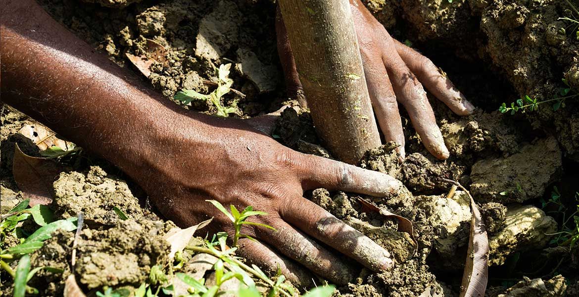 Das "Laudato Si in Action"-Projekt in Varanasi schützt Klima und Umwelt.